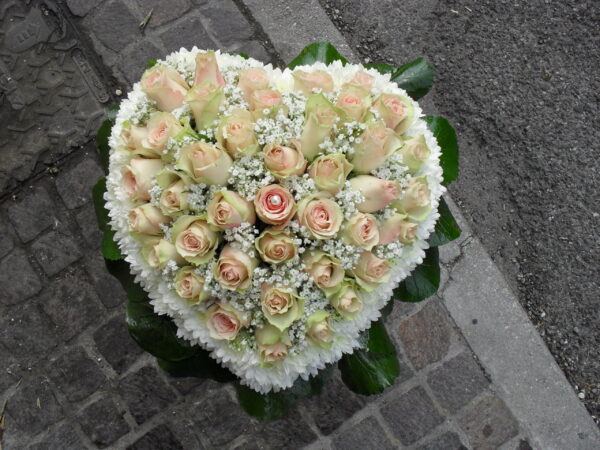 Cuore di rose rosa