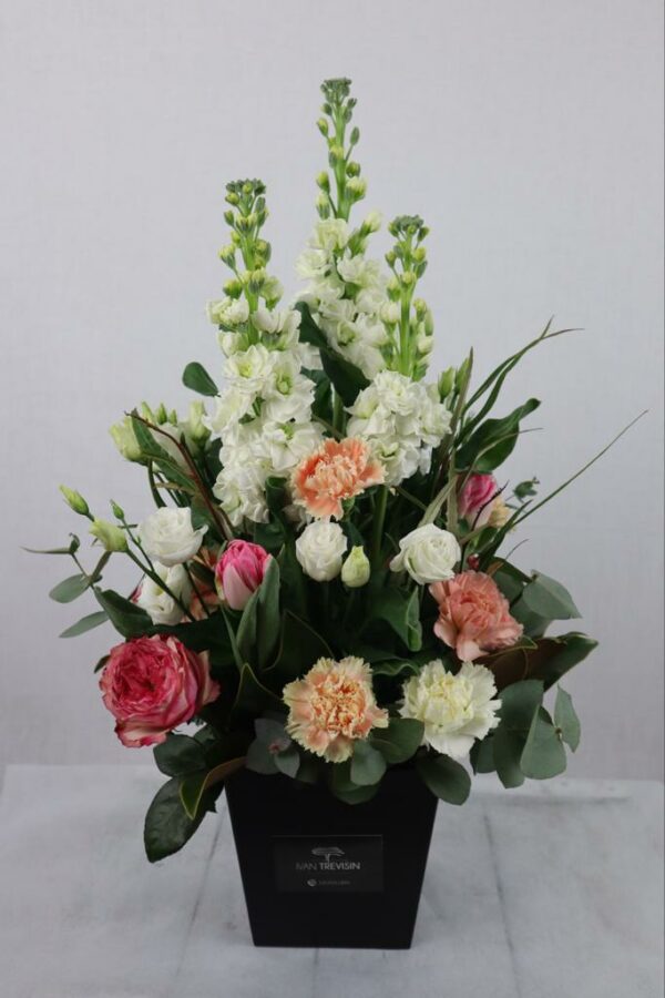 Composizione box "small" bianca e rosa